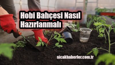 Hobi bahçesi kurarken doğru bitkileri seçmek ve bakım yapılırken nelere