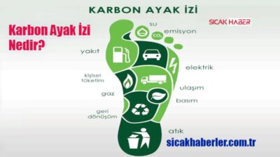 Karbon ayak izi, bir bireyin veya bir organizasyonun faaliyetleri sonucunda