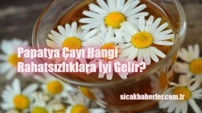 Evde papatya çayı hazırlamak için adım adım rehber! Taze ve